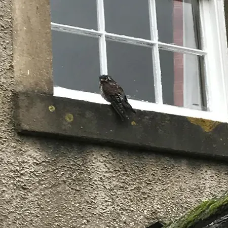 Scafell View Apartment, Wasdale, District, Cumbria *
