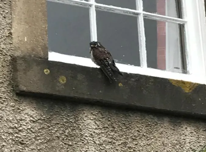 Scafell View Apartment, Wasdale, District, Cumbria *